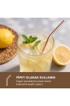 6'lı Kaşıklı Pipet Seti - Bronz - Pipet Temizleme Fırçası