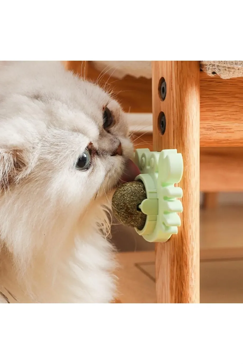 Yengeç Kedi Otu Oyun Topu Yengeç Kedi Otu Oyun Topu