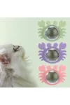 Yengeç Kedi Otu Oyun Topu Yengeç Kedi Otu Oyun Topu