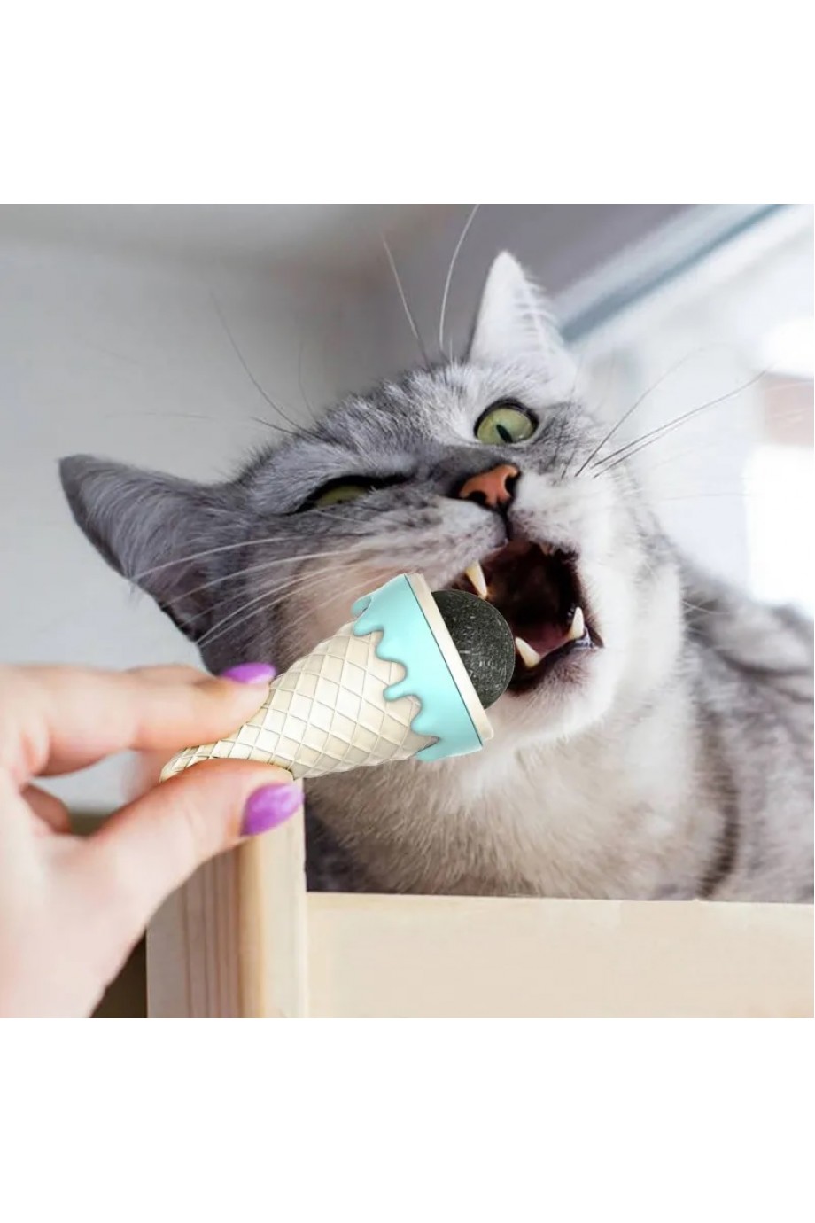 DONDURMA ŞEKLİNDE KEDİ NANESİ KEDİ OTU DONDURMA ŞEKLİNDE KEDİ NANESİ KEDİ OTU