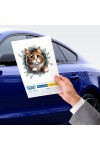Fulcar Stray Araç Stickerı