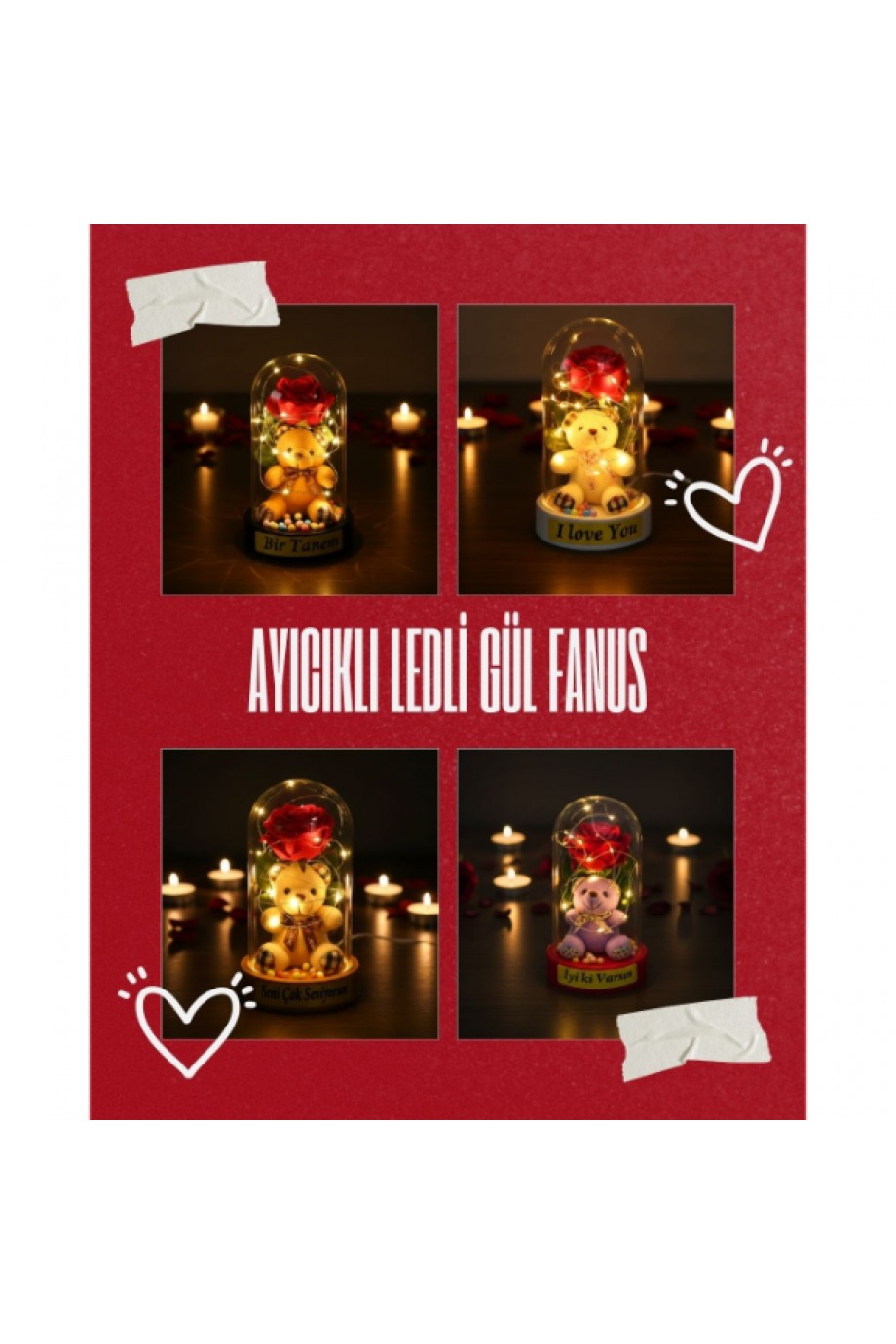 Ayıcıklı Ledli Gül Fanus